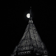 DSC05705.jpg