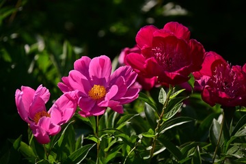 83F8CAC3-48B4-463B-AF81-7E5FCD75986C/L0/001