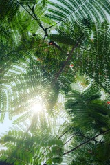 DSCF1889_LR11
