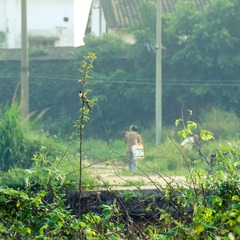 DSCF1350_LR11