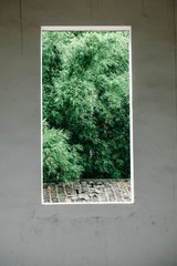 DSCF2502_LR11