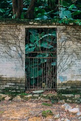 DSCF2567_LR11