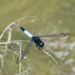 DSCF2629_LR11
