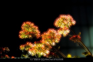 DSCF9331_LR
