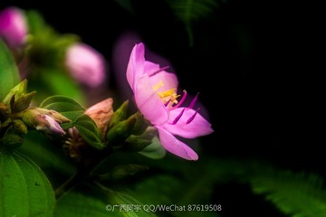 DSCF0695_LR