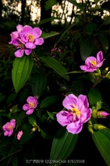 DSCF0716_LR