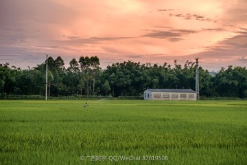 DSCF7427_LR