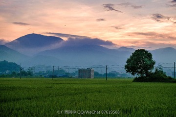 DSCF7446_LR