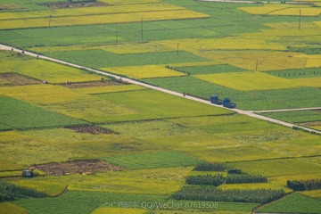 DSCF7637_LR
