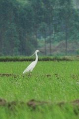 DSCF9607_LR