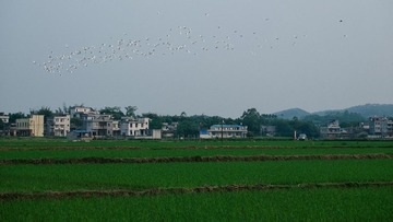 DSCF0204_LR