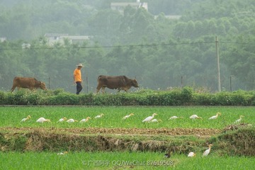 DSCF0275_LR-2