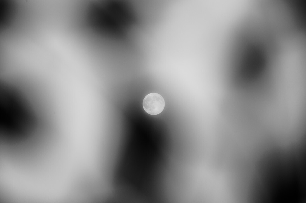 夏夜2