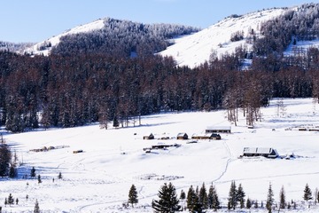 DSC02035