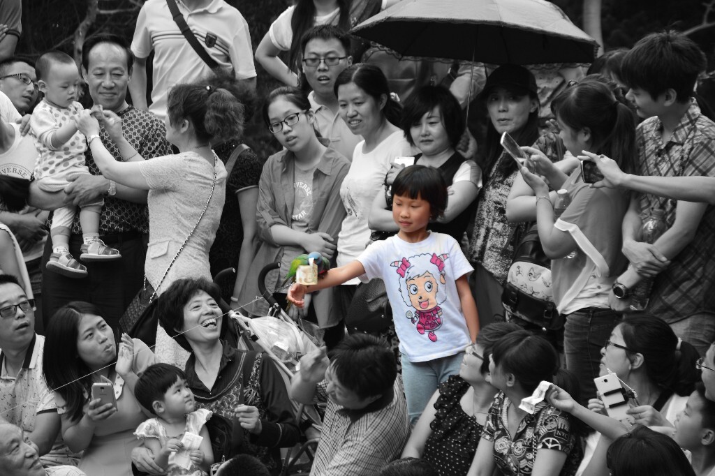 孤独的表演者
