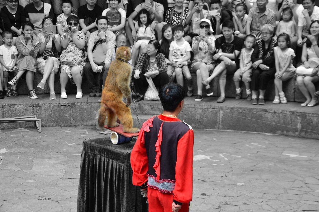 孤独的表演者