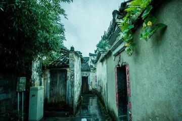 DSC_1094_看图王