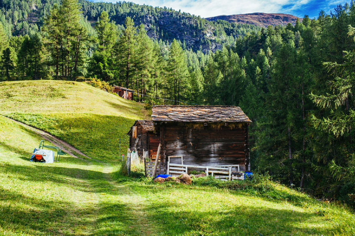 也有可爱的小木屋
