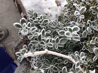 2013-12-22 09.30.24