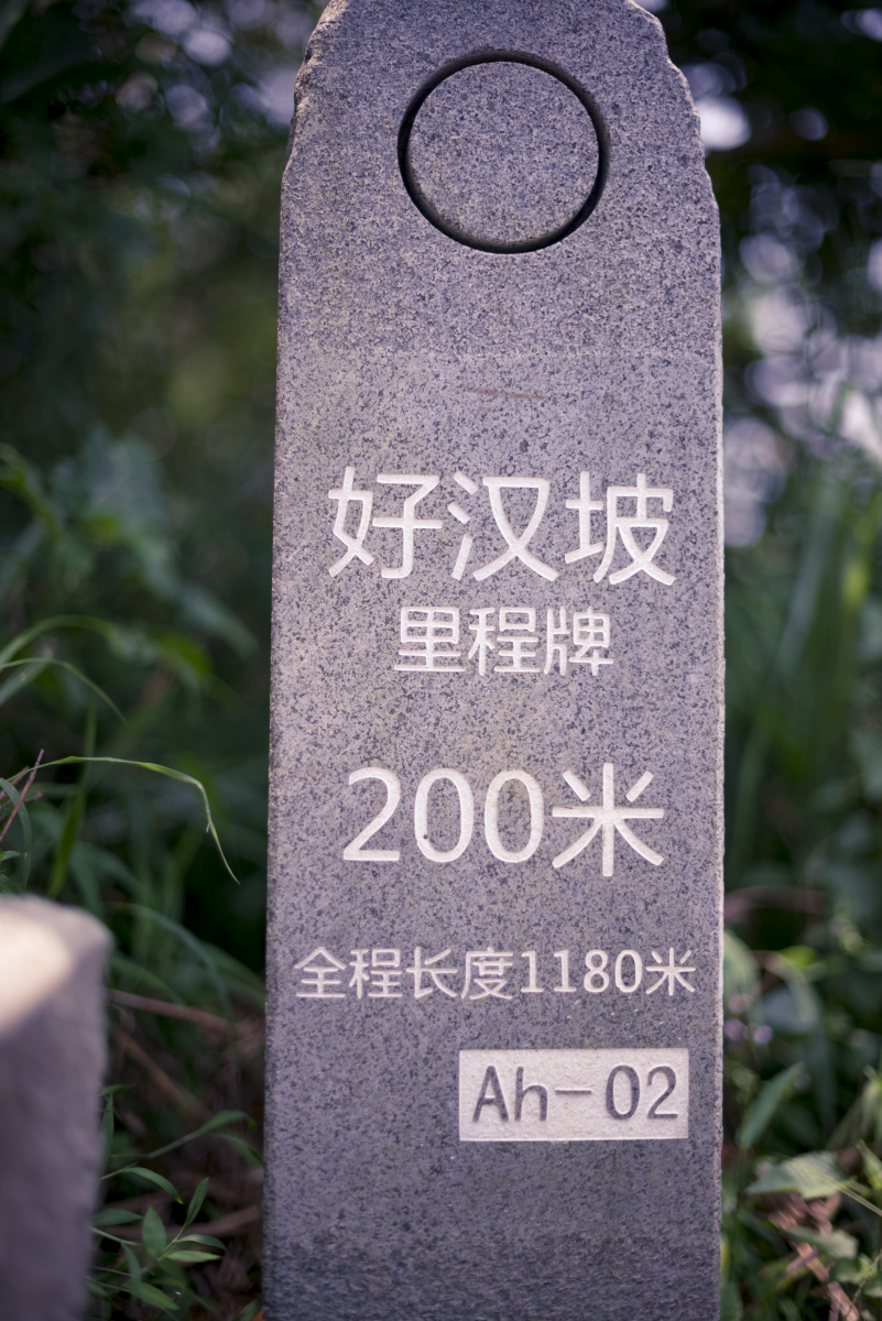 这个坡度大概75度 每走一步 大腿都会酸痛