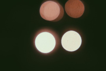 539477