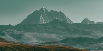 1000049517