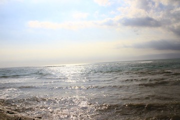 IMG_6321.jpg