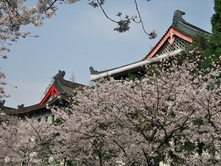 P1020369_DxO