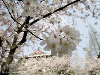 P1020374_DxO