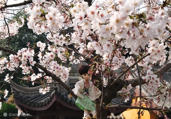 P1020408_DxO