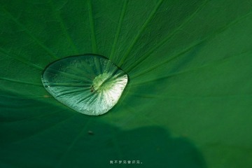 IMG_2808.jpg