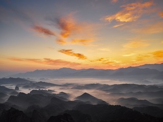 CF002295_2