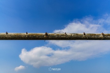 DSC05284-2