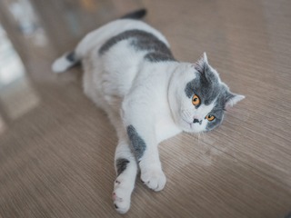 1471661