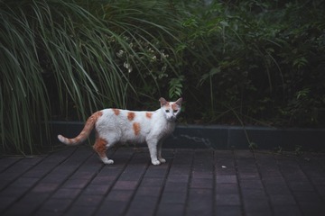 1403280