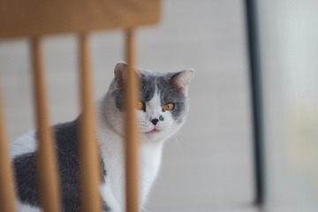 1471665