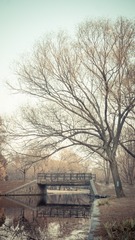 C950AB88-4749-4F30-A917-A74EF707AFD7/L0/001