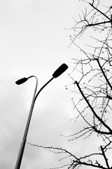 黑白2.jpg