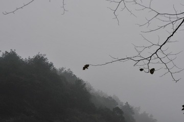 黑白4.JPG