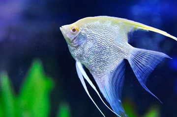20110918-_DSC1877.jpg