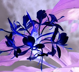 DSC00231__