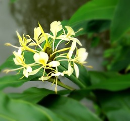 DSC00231___meitu_1