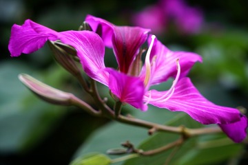 DSC00382_