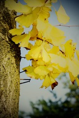DSC00527_