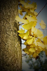 DSC00530_
