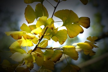 DSC00535_