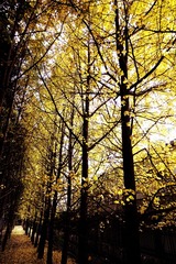 DSC00547_