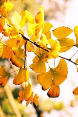 DSC00535_meitu_3_