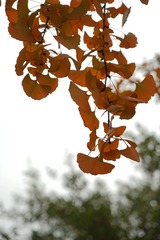DSC00572_