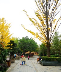 DSC00561_